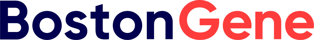 bg-logo (3) (003)