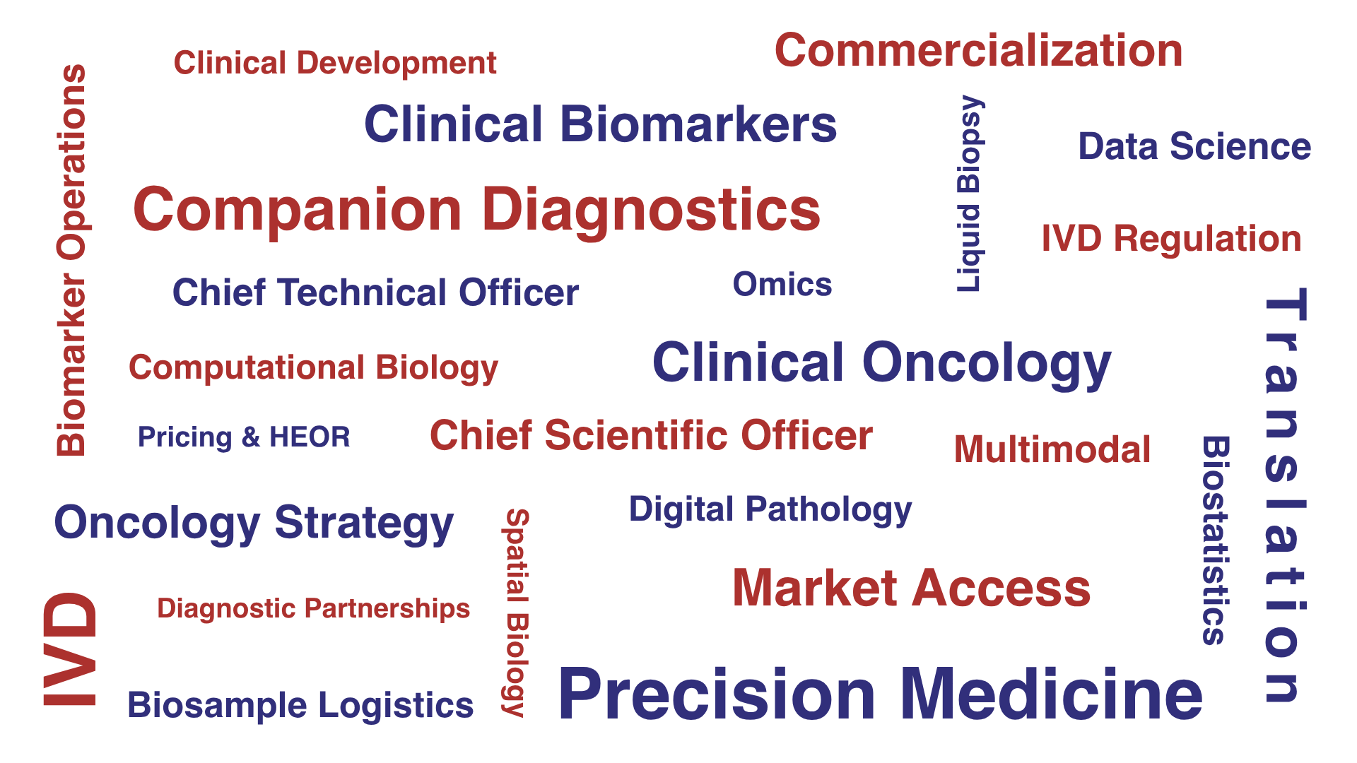 CDx Word Cloud (2)